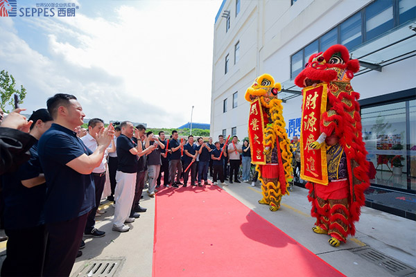 仪式现场舞狮表演